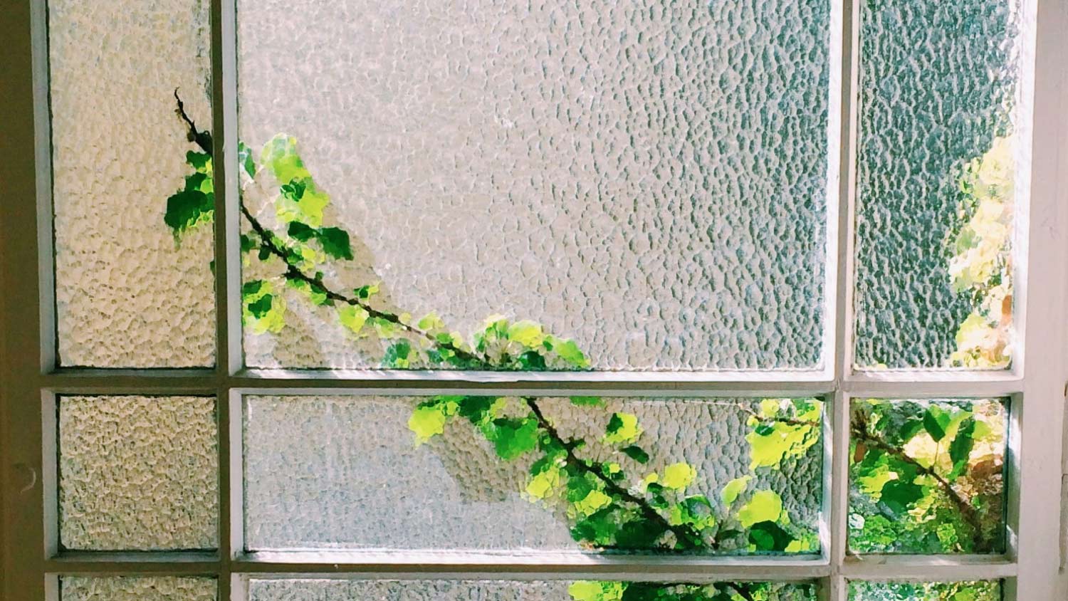 Plants seen through a frosted glass window