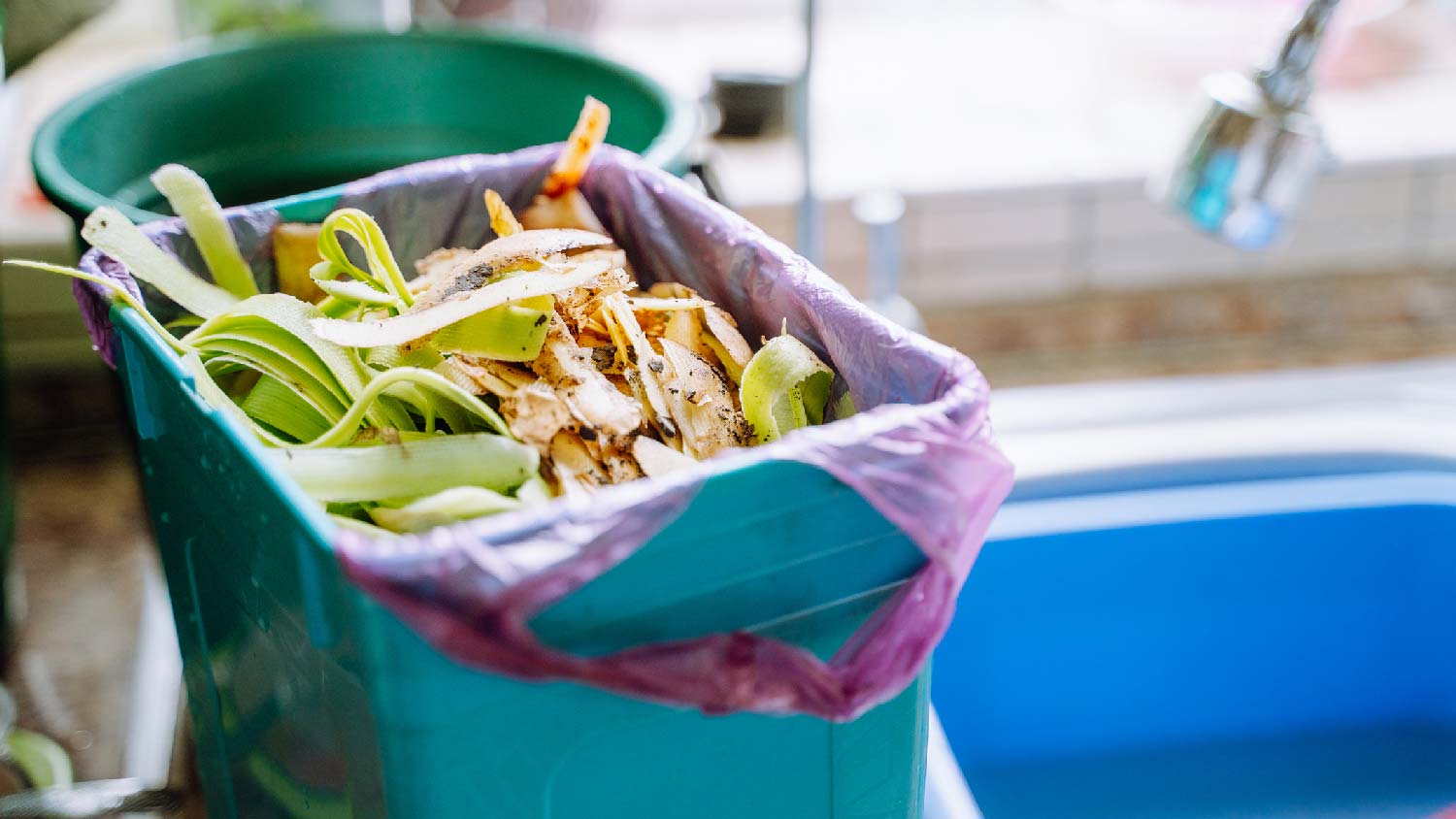 A garbage pail with food waste