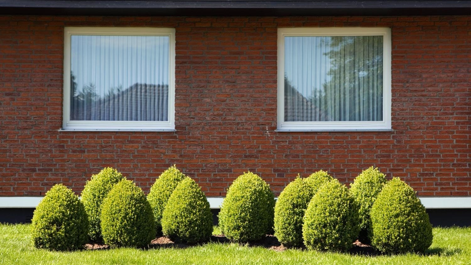 A garden in front of suburban house