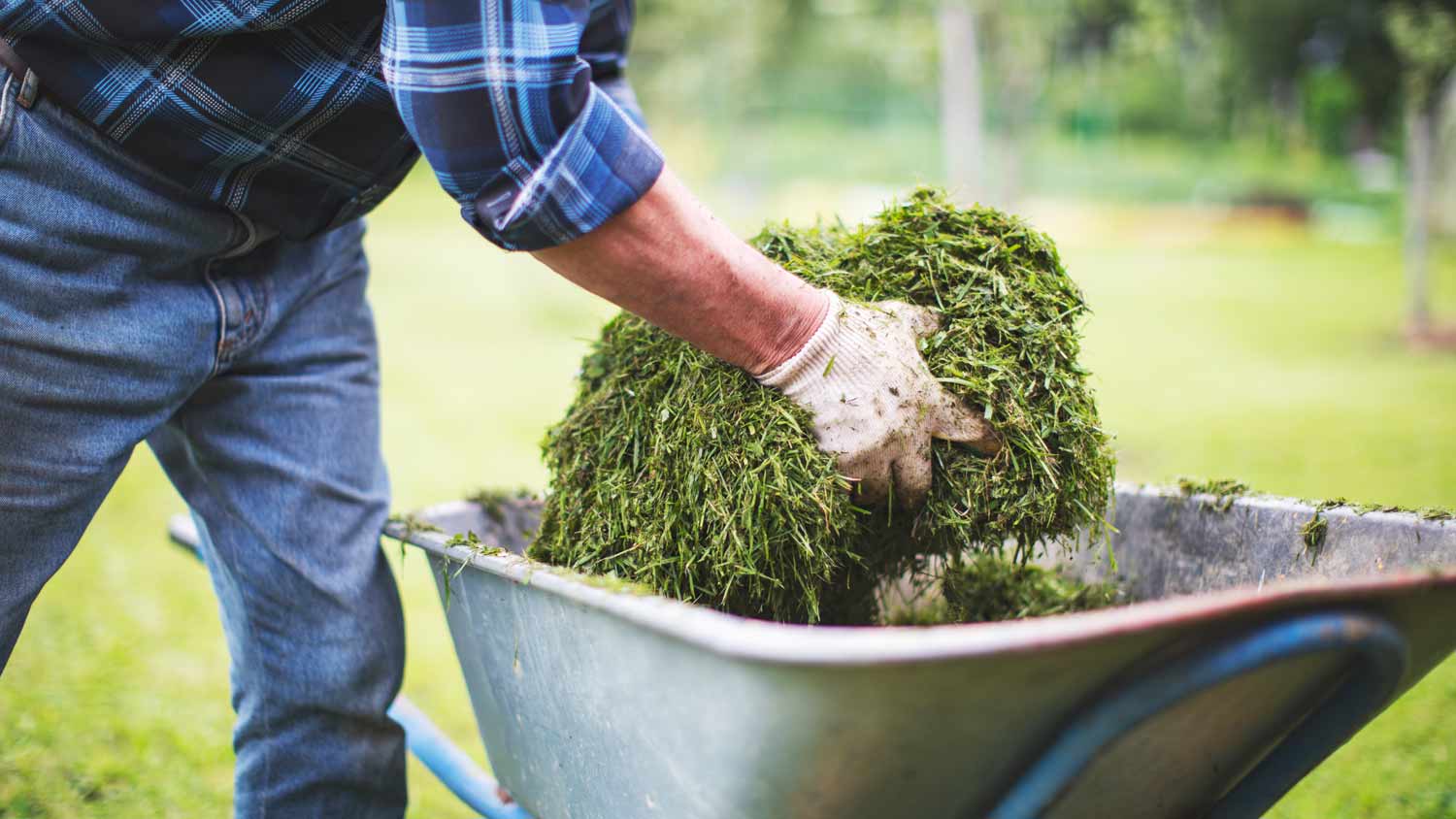 man in garden with grass clippings