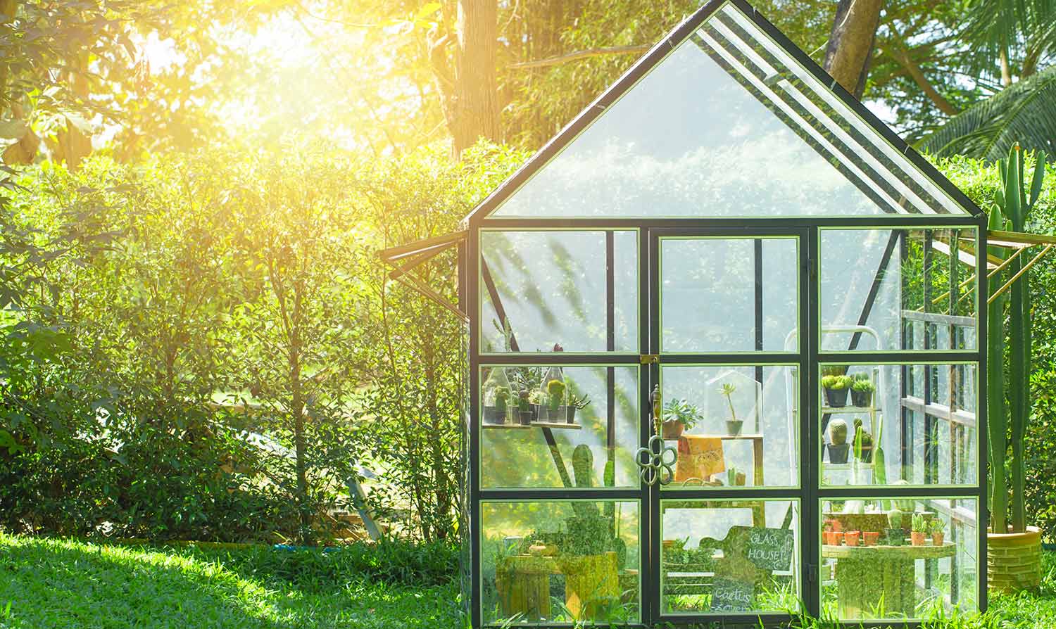 Greenhouse in a home garden