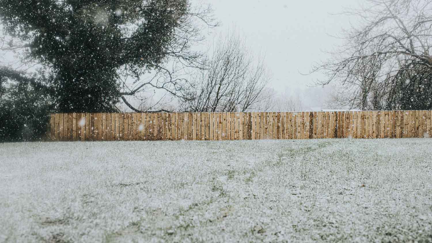A garden with lawn covered in snow during the winter