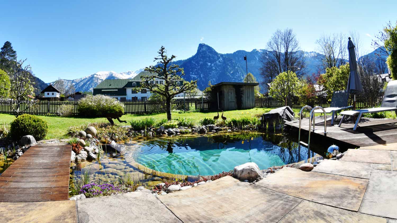 A garden with natural pool