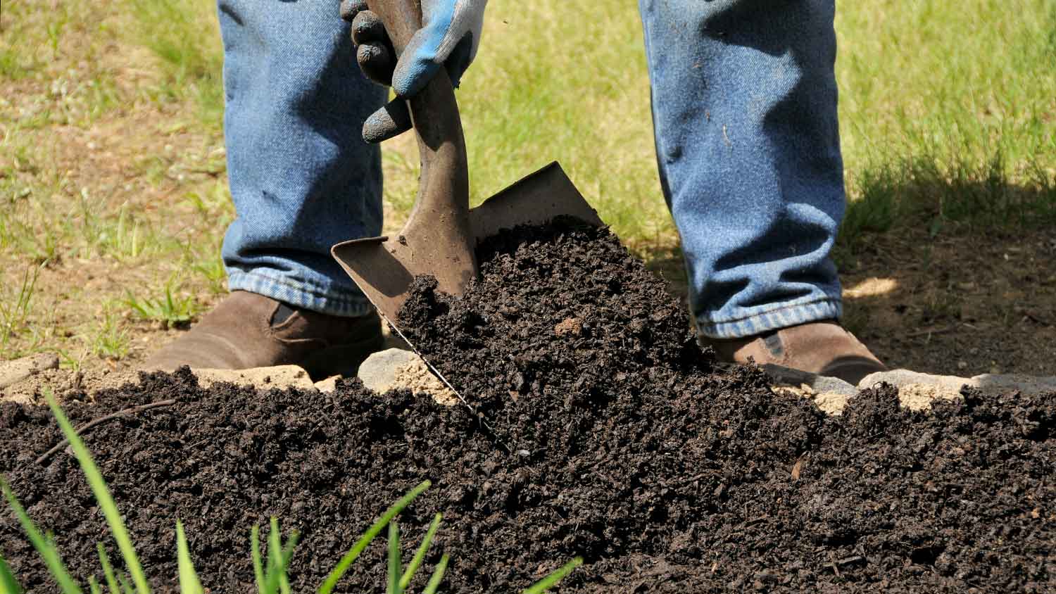 Gardener using shovel to lay soil in the yard