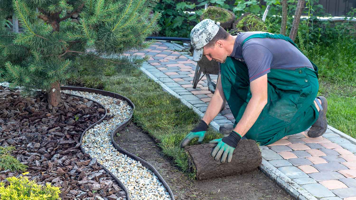 Professional landscaper laying new turf in the yard