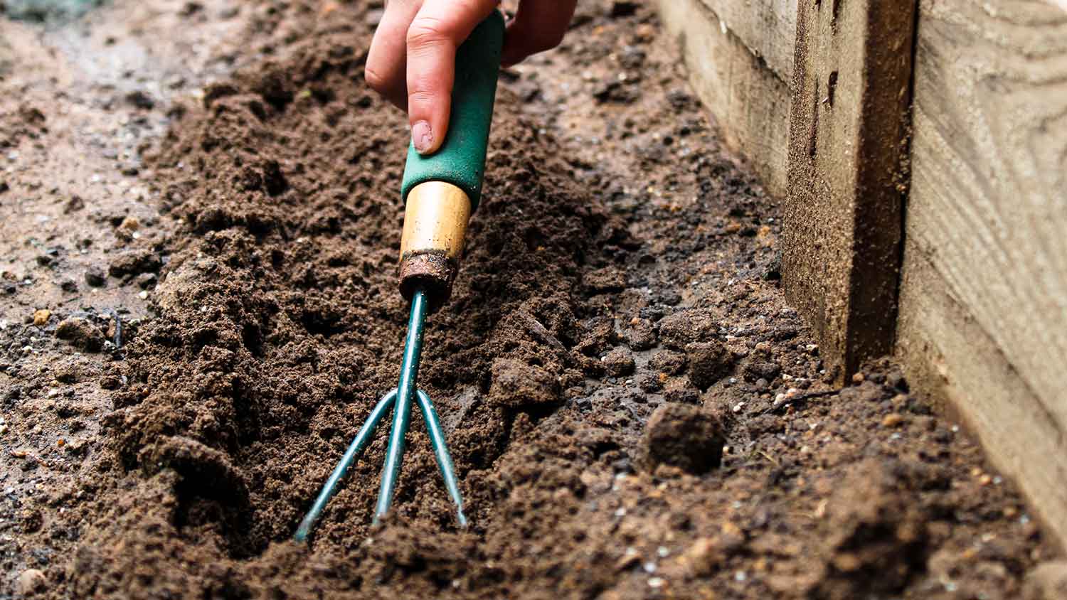 Gardener using a gardening fork to loosen the soil