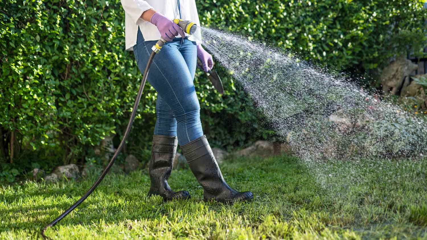 Woman watering the lawn with a hose