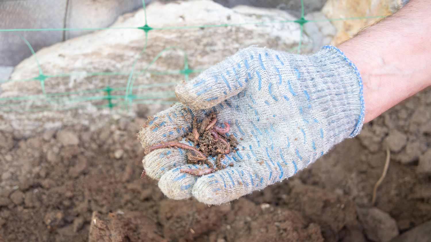 Gardener worm composting