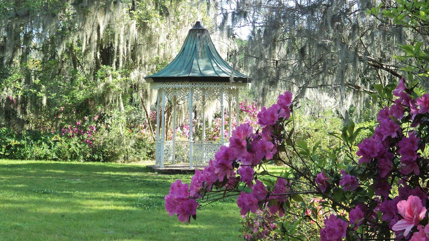 A gazebo in a garden with pink shrubs and moss