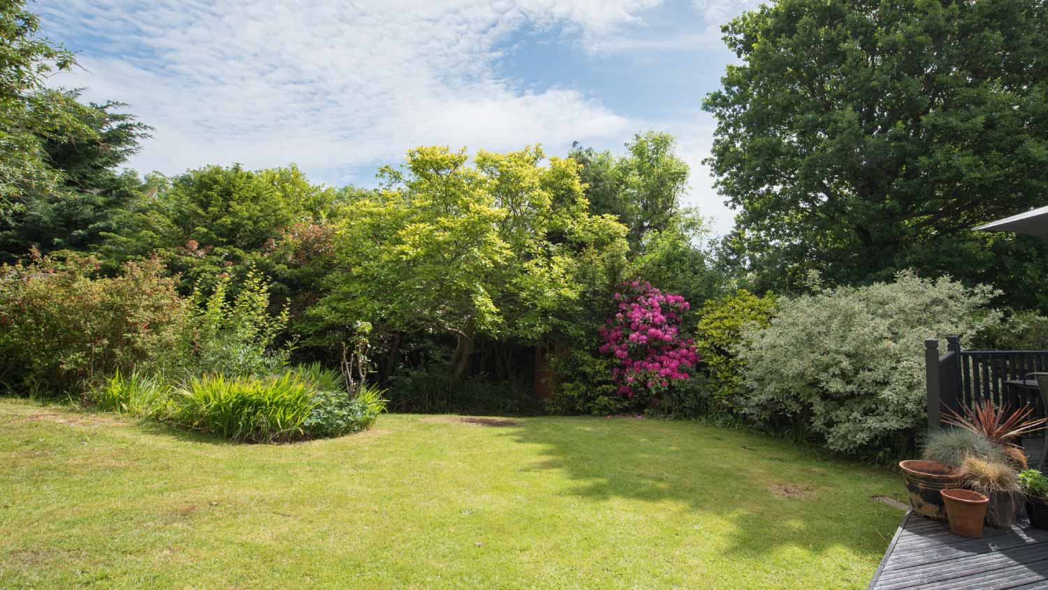 A general view of a back garden