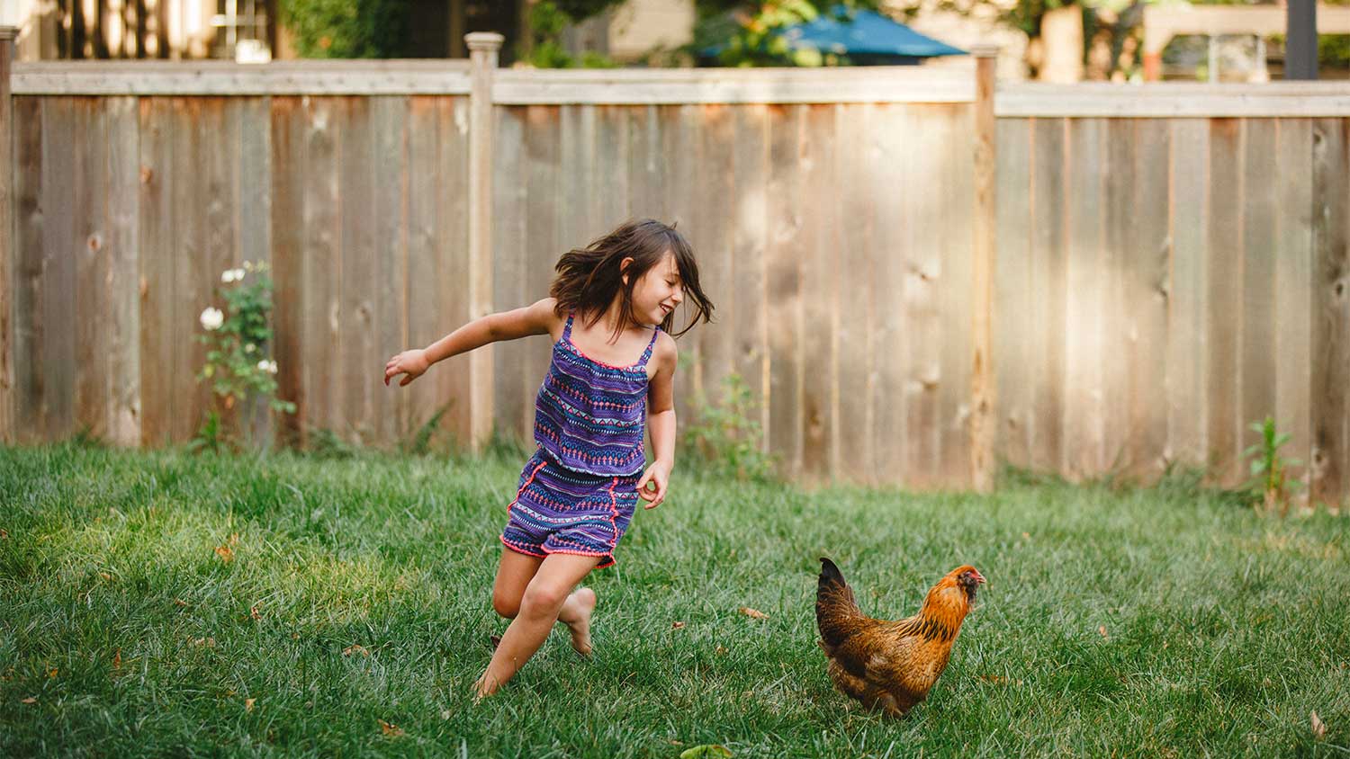 A girl and her chicken in a backyard