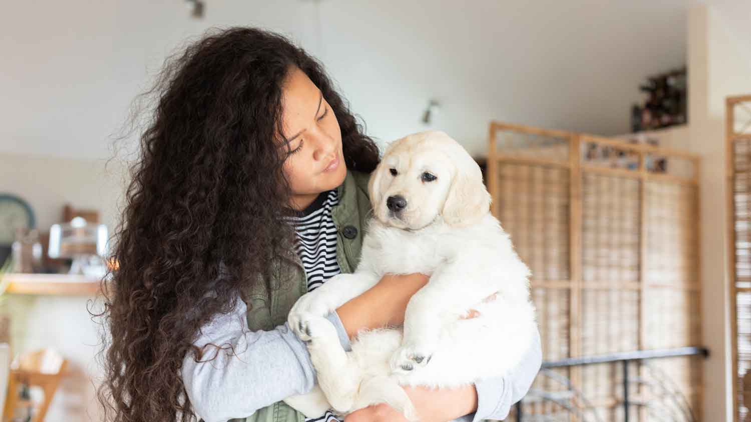 Girl holding Golden retriever puppy