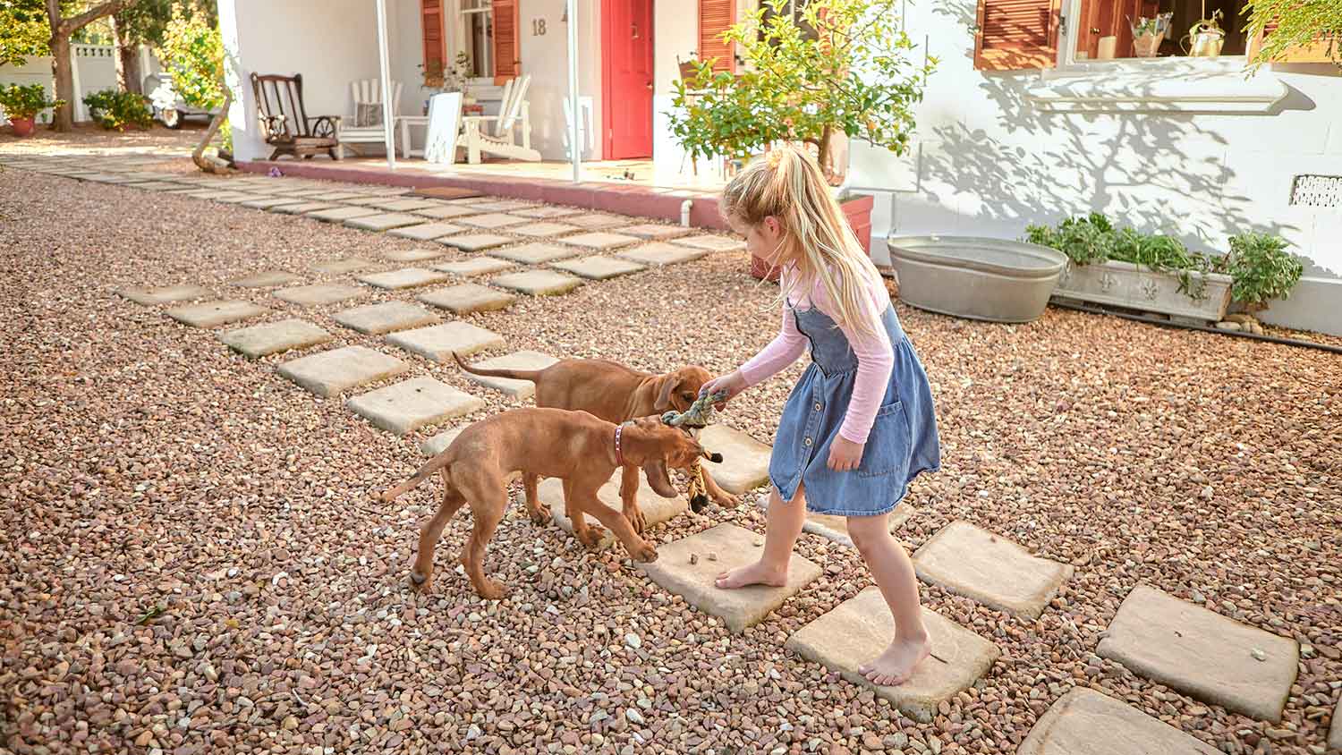 Gril playing with dogs on a gravel patio 