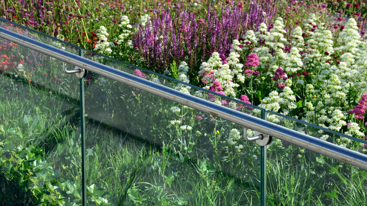 A glass fence in front of a garden with flowers