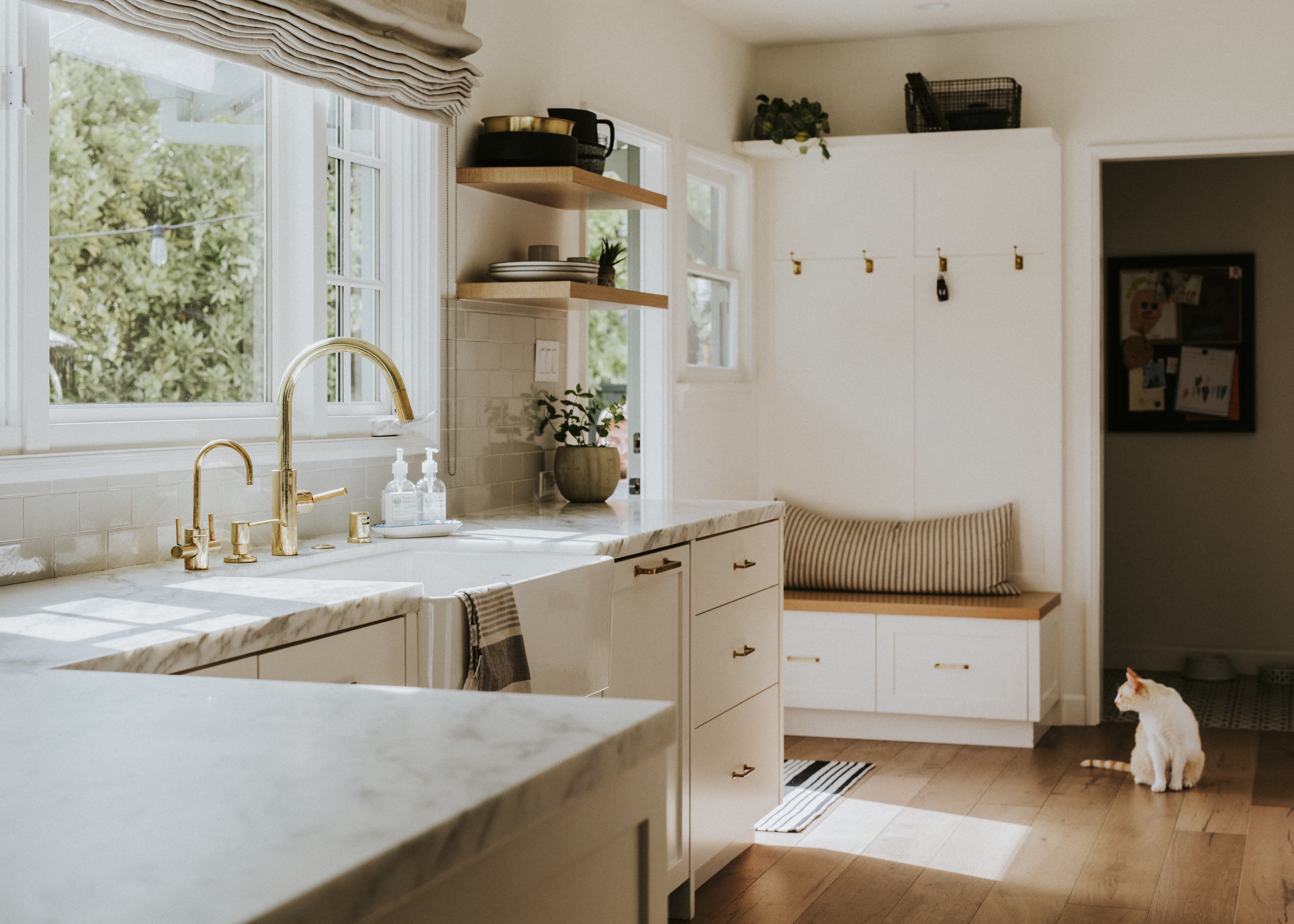 A white cat overlooks a clean kitchen with white countertops, gold accents, open wood shelves, and hardwood floors