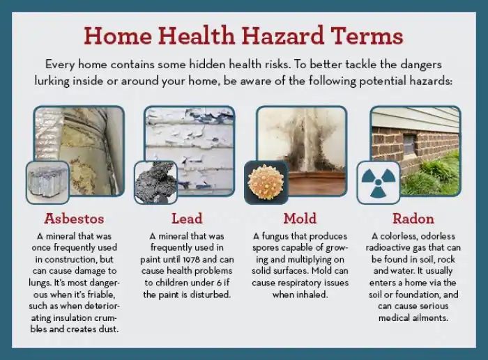 health hazards infographic