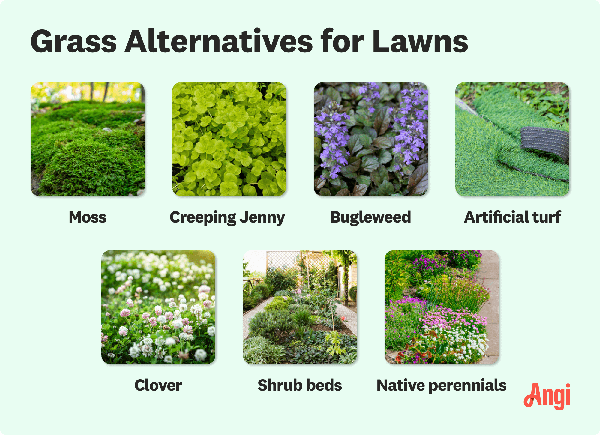 7 grass alternatives for lawns compared visually, including moss, artificial turf, and clover