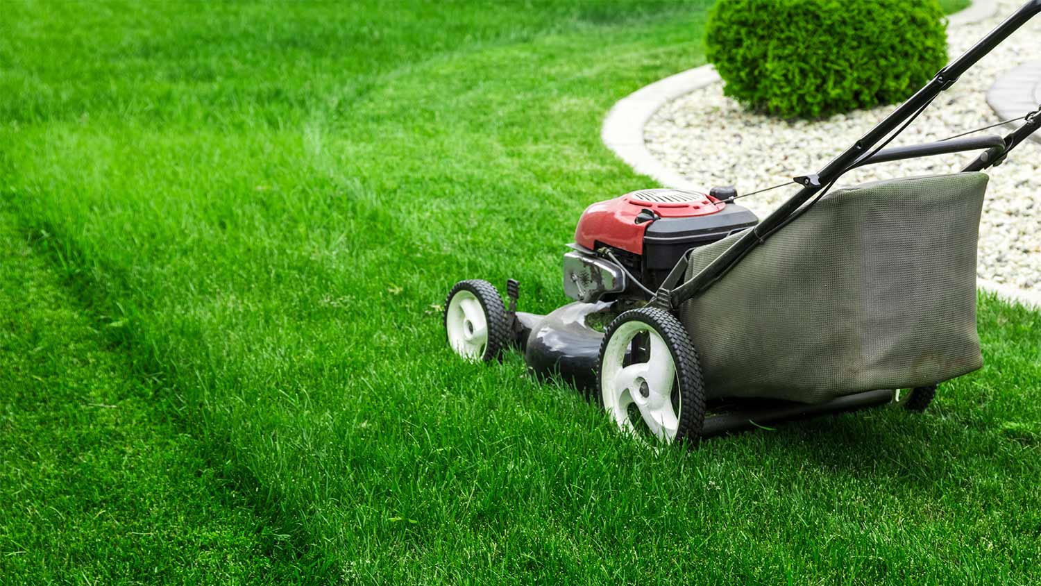 Green grass lawn mower.