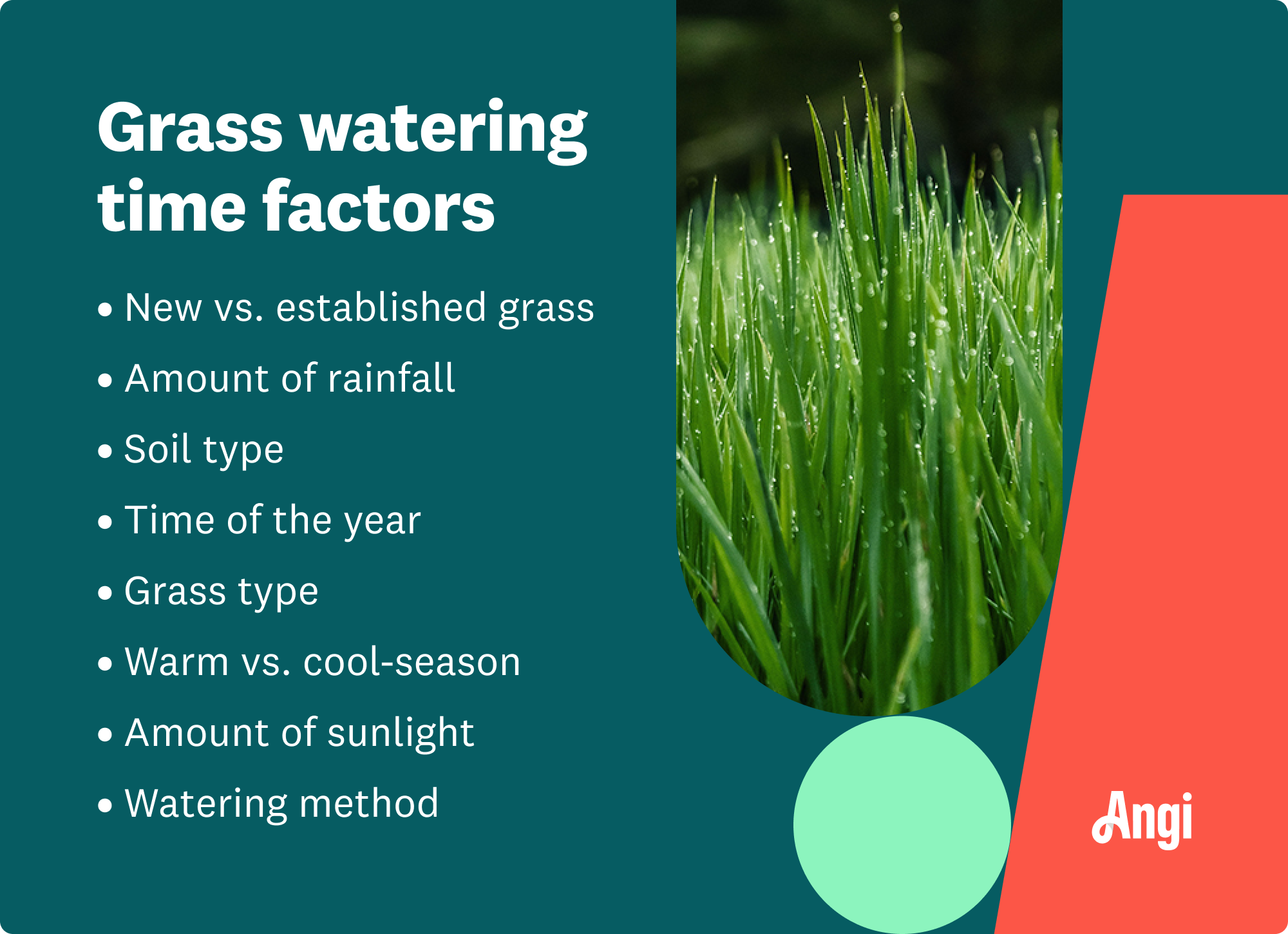 8 factors that affect grass watering time, including soil type, grass type, and amount of sunlight
