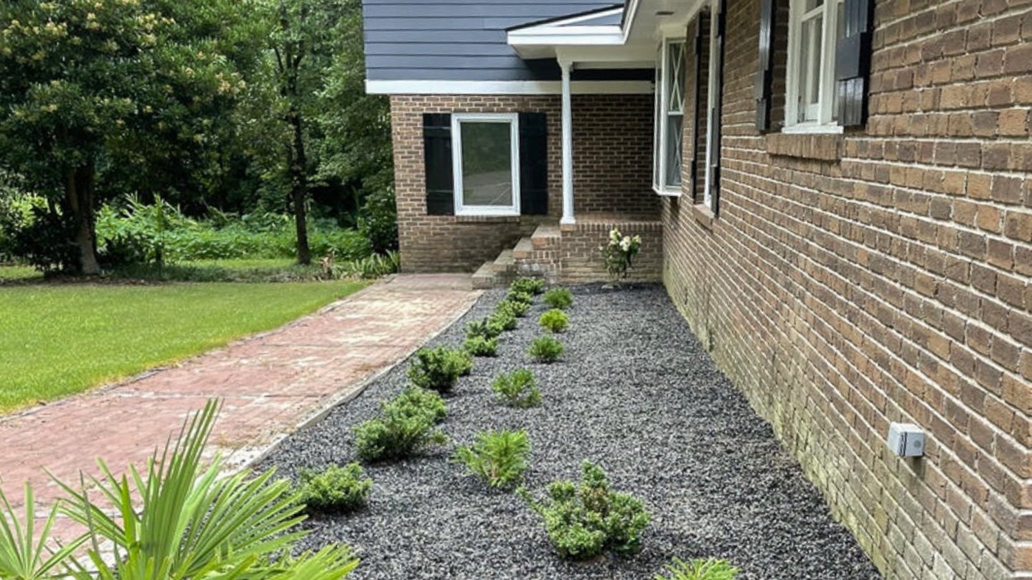 A gravel garden with different plants 