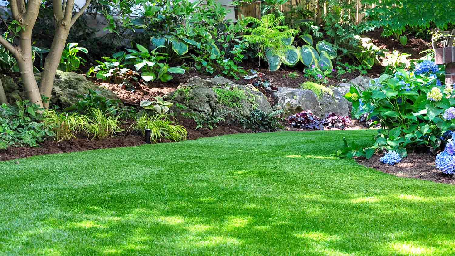 garden with beautiful lawn