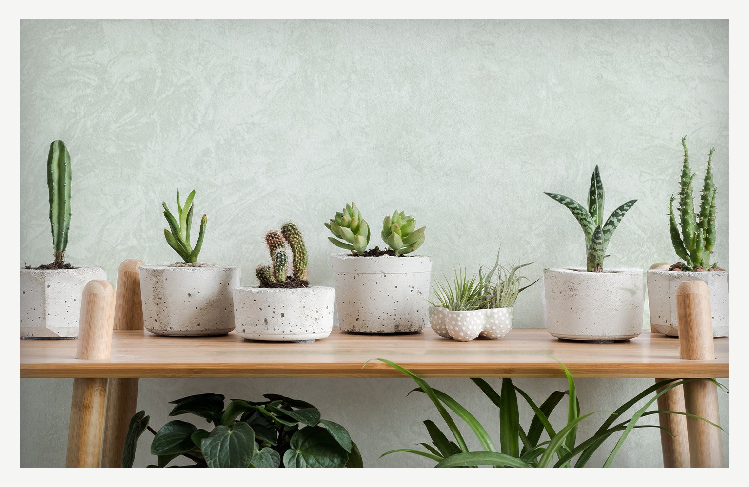 green rag rolling painting technique on wall above table of plants