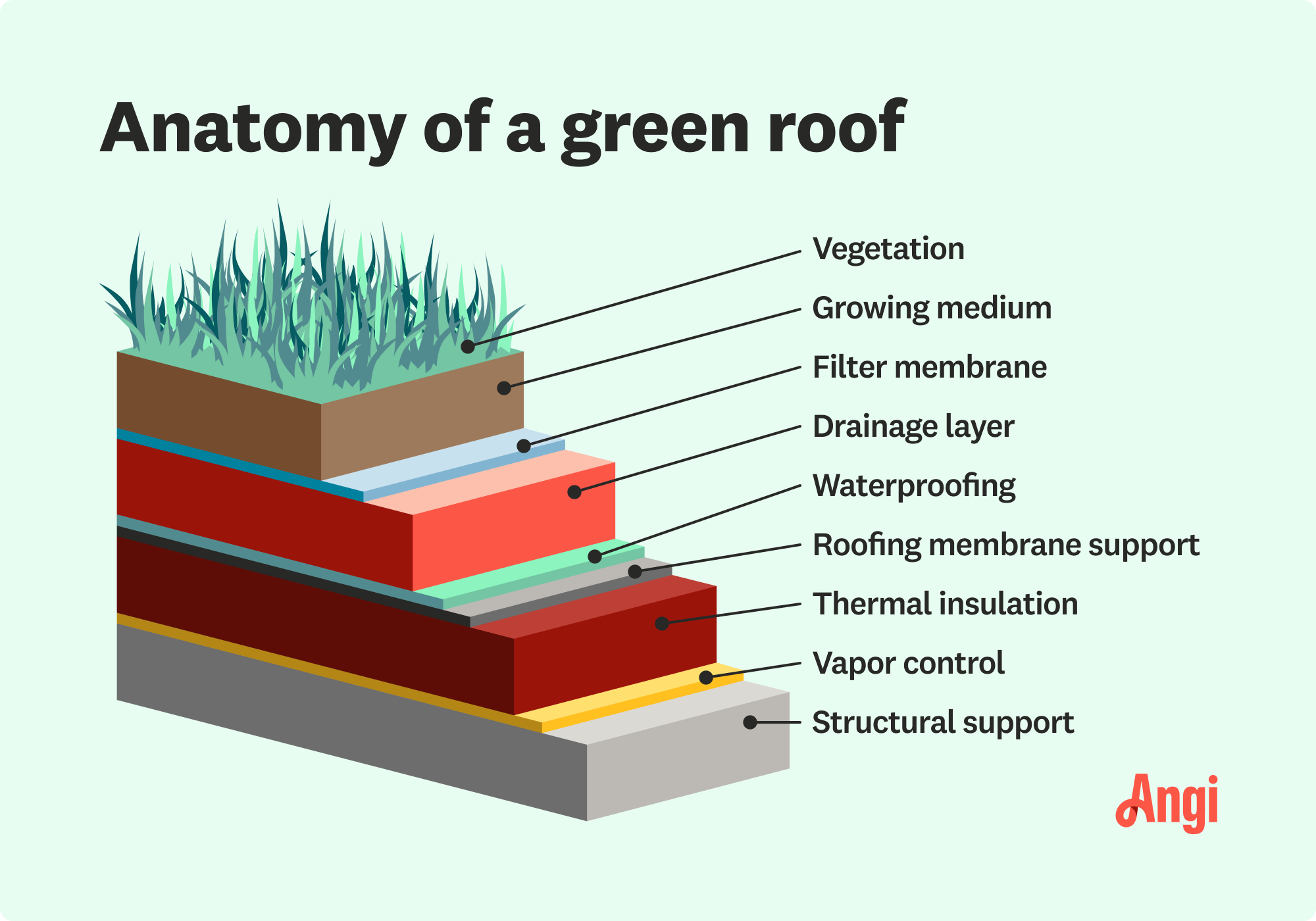 Green roof anatomy illustrated, including the vegetation layer, drainage layer, and thermal insulation