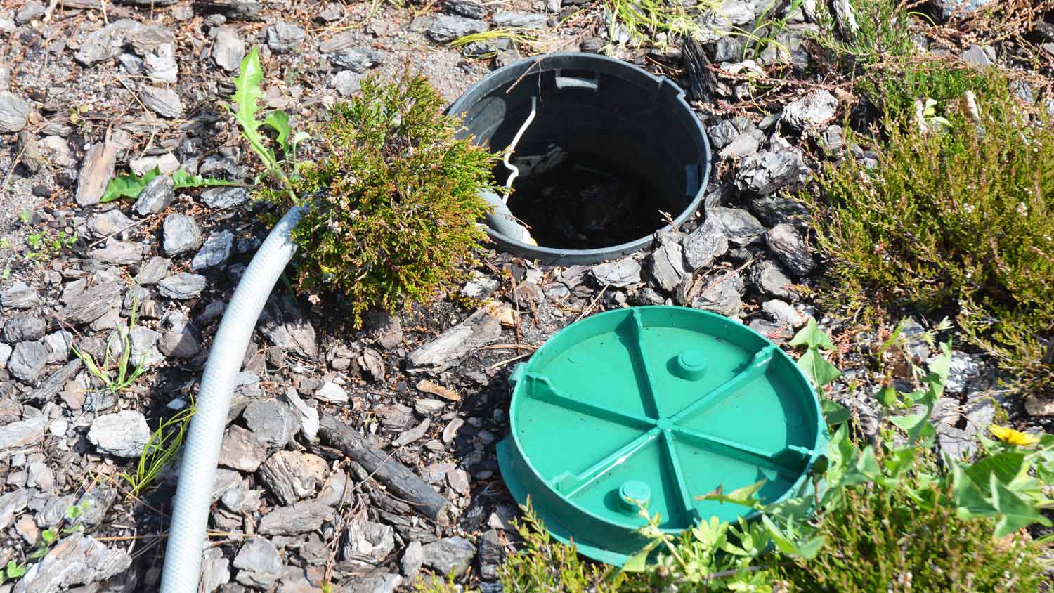 Septic hole in yard  