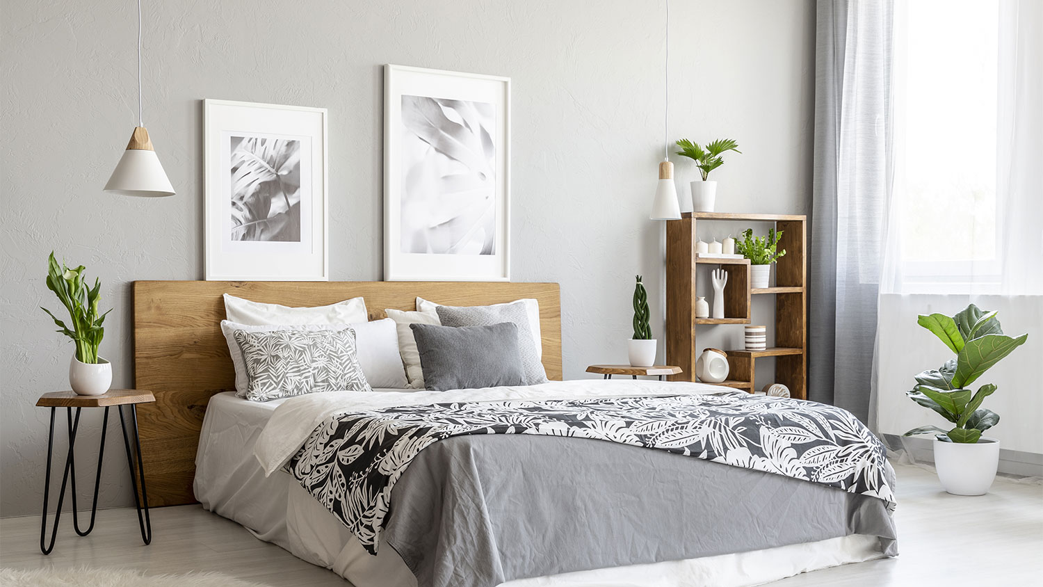 Grey modern bed room with plants