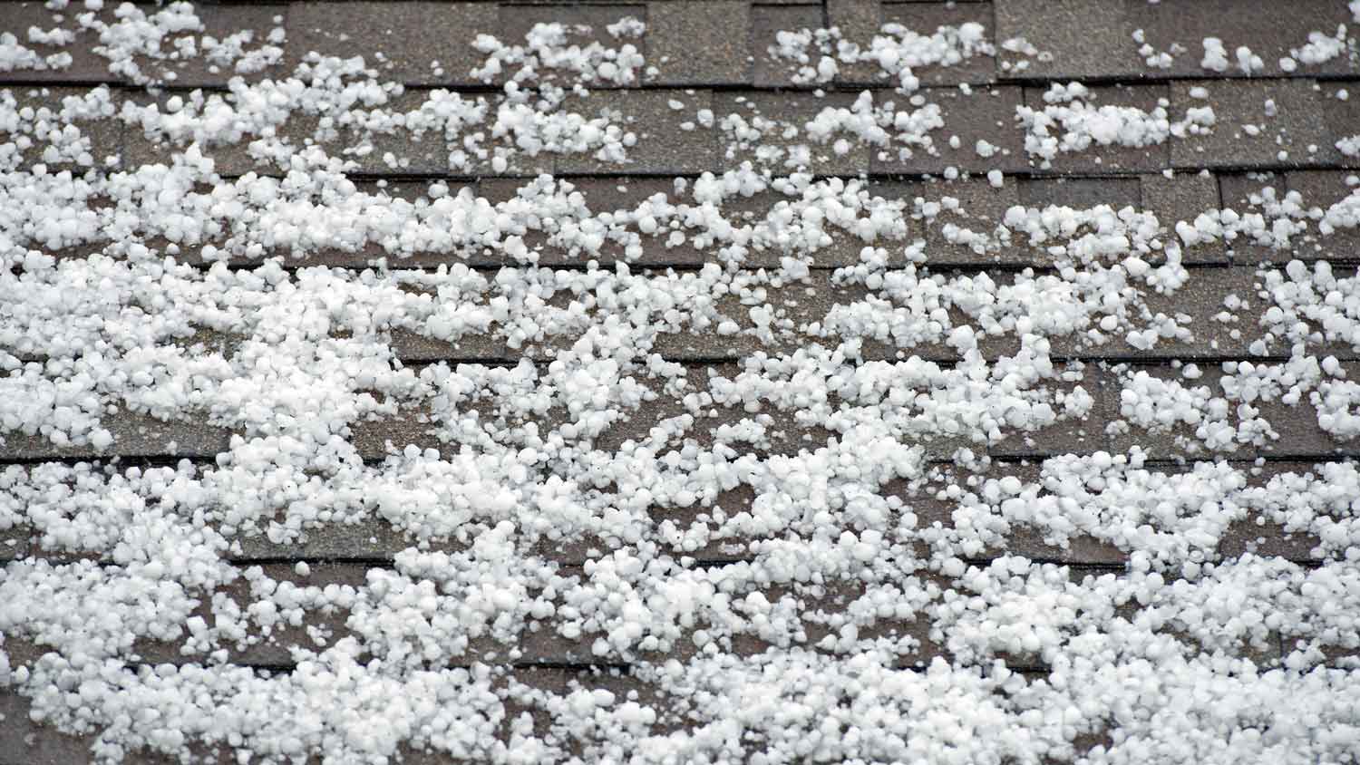 Hail on roof made of asphalt shingles