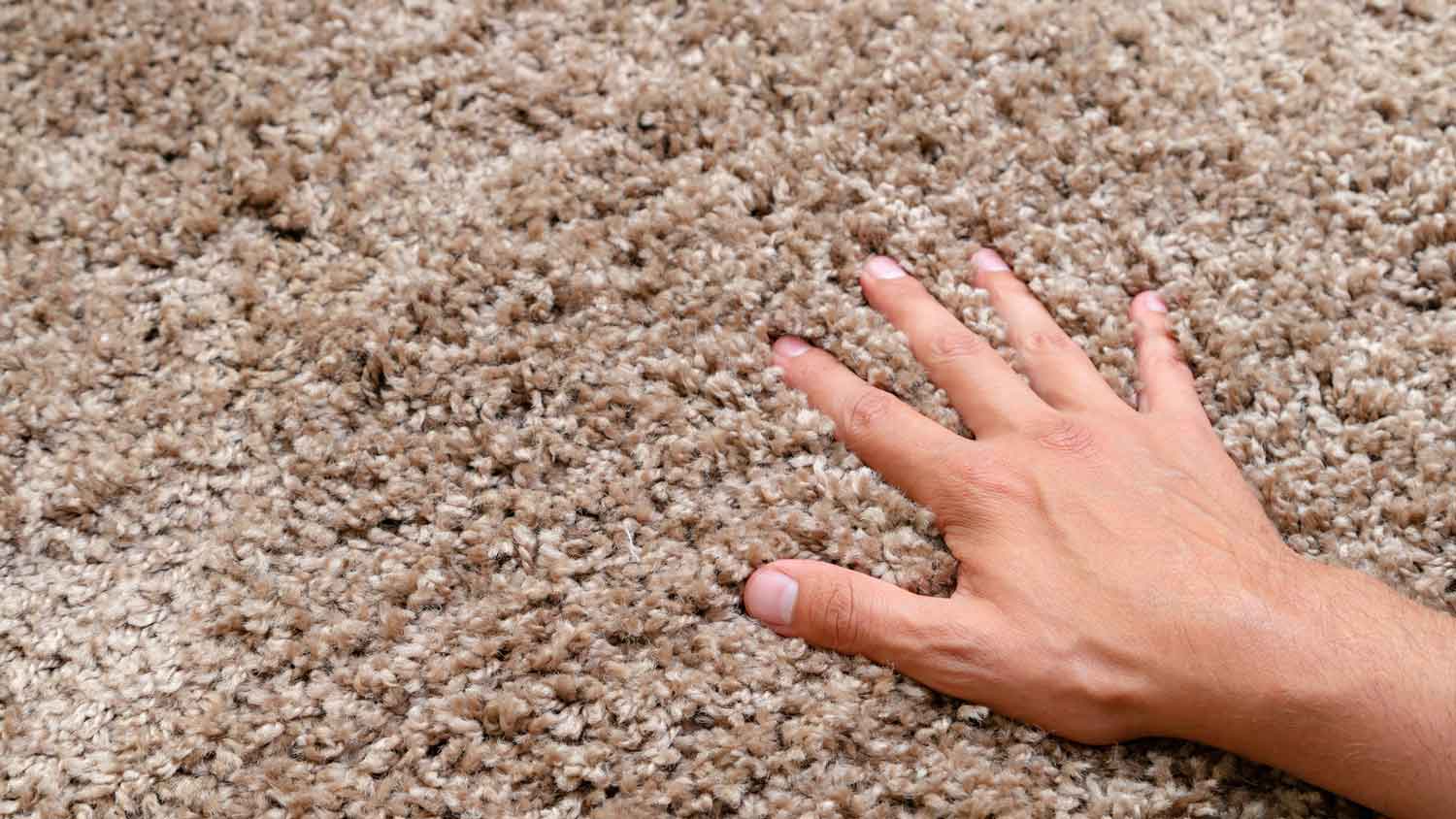 A hand touching a fluffy polyester carpet