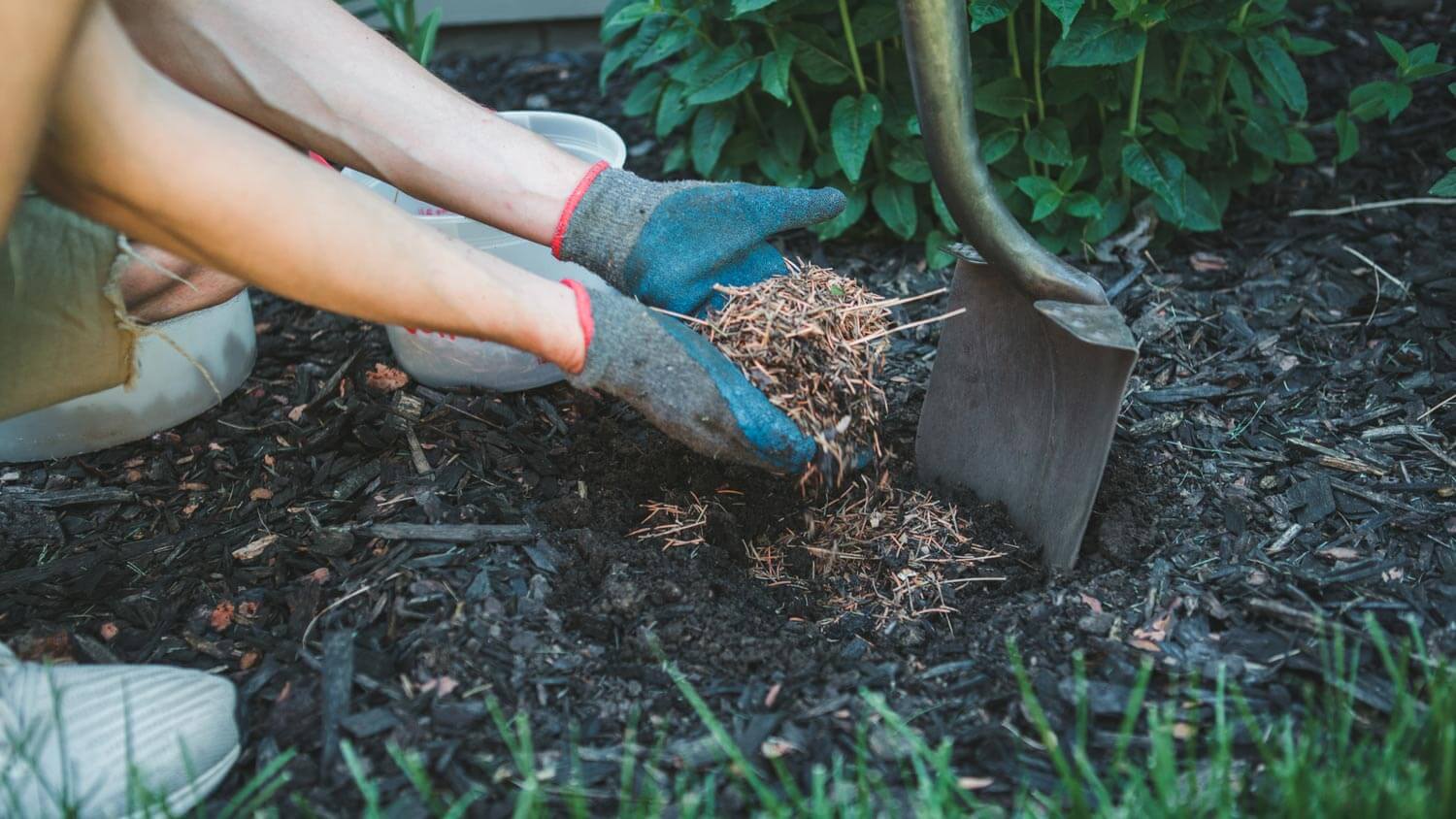 Hands in gloves picking mulch with a shovel