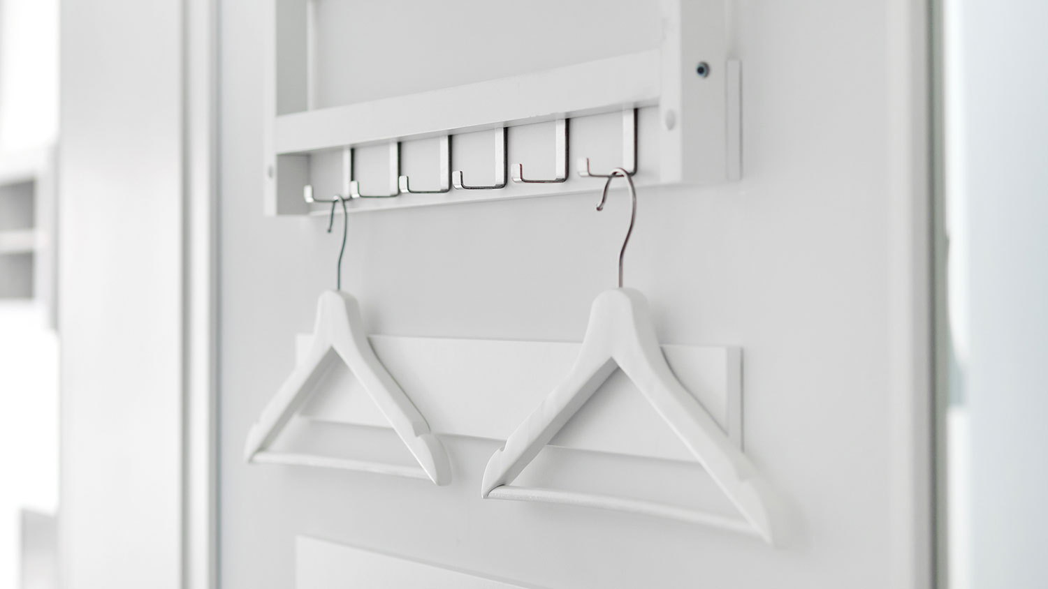 Closet door organizer with hangers