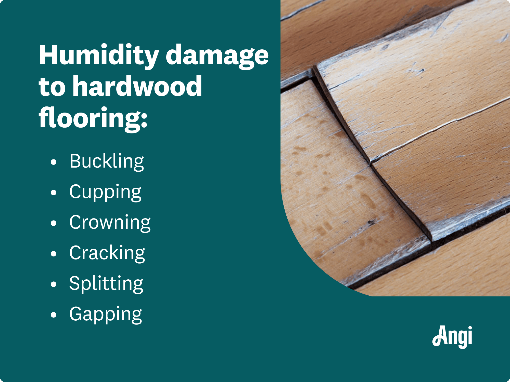 6 types of humidity damage to hardwood flooring, including buckling, cupping, and splitting