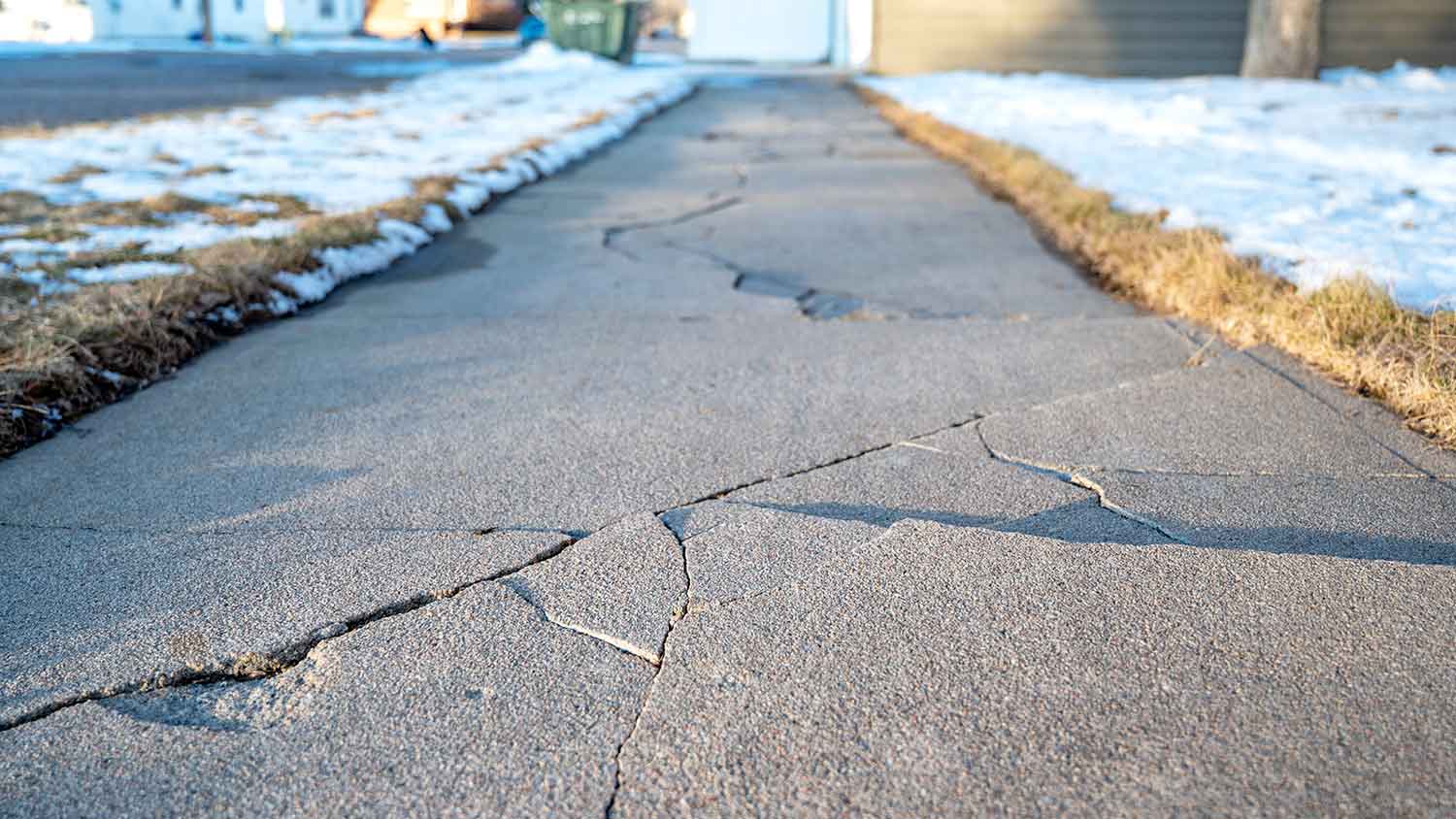 Heaving cracks in a concrete sidewalk