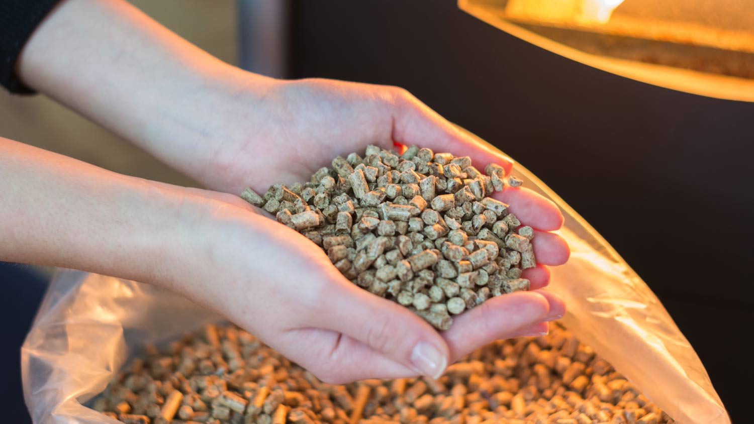 woman holding wood pellets