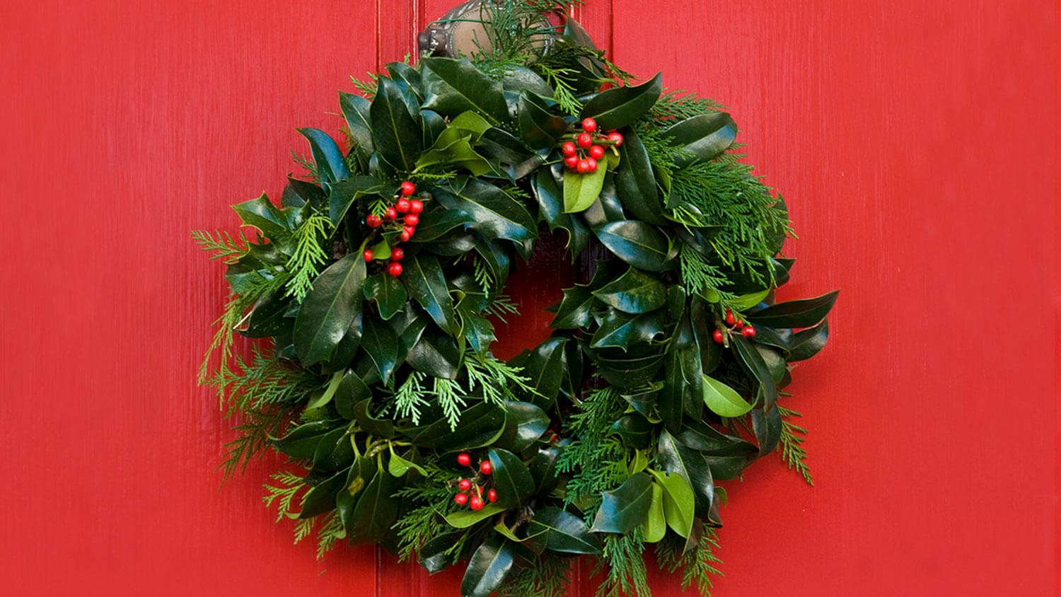 holly wreath on red door