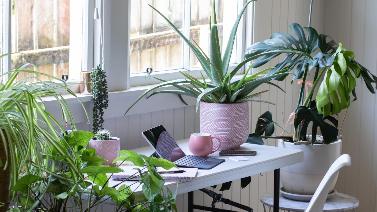 A home office with potted house plants