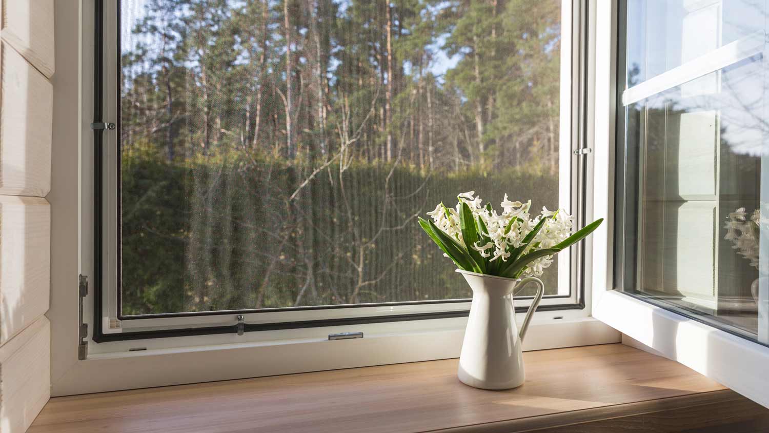 white  window with window screen