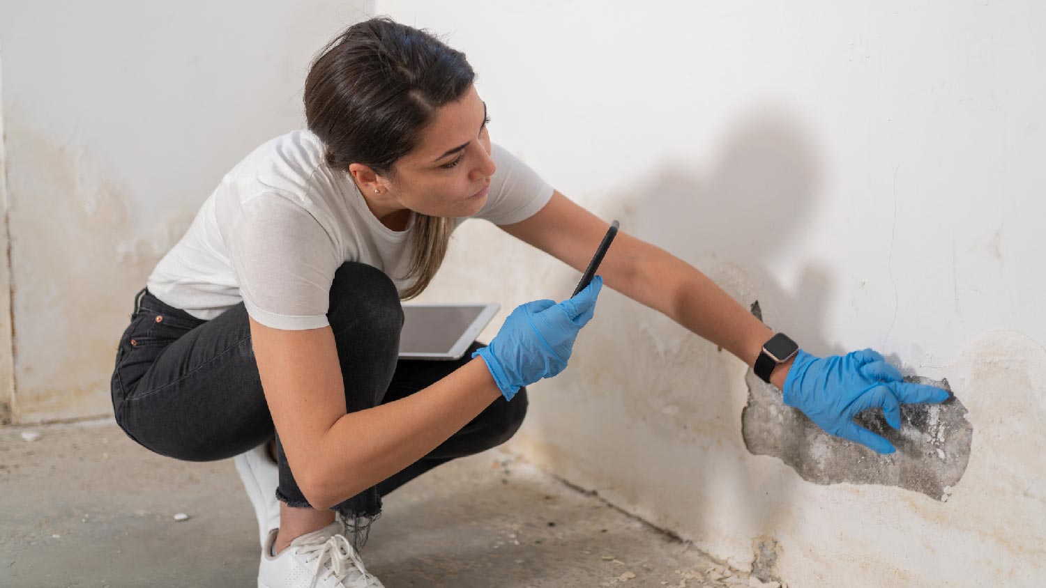 A homeowner inspecting for mold in the basement