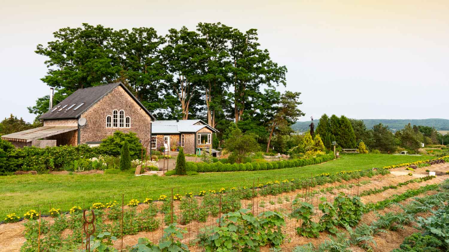 A house with a large vegetable garden