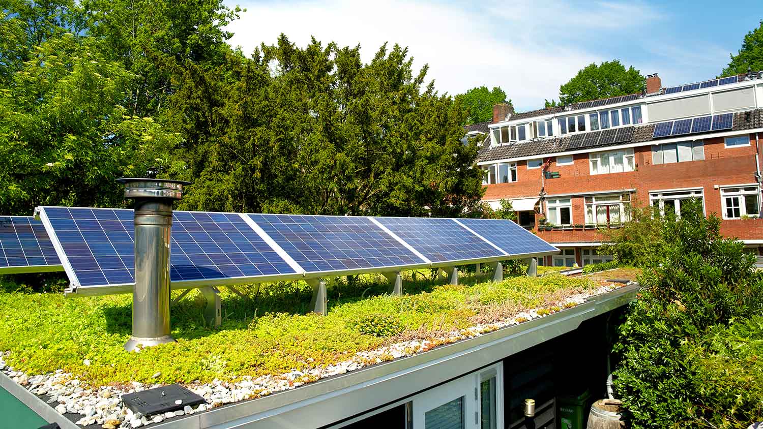 Solar panels installed on top of a green roof