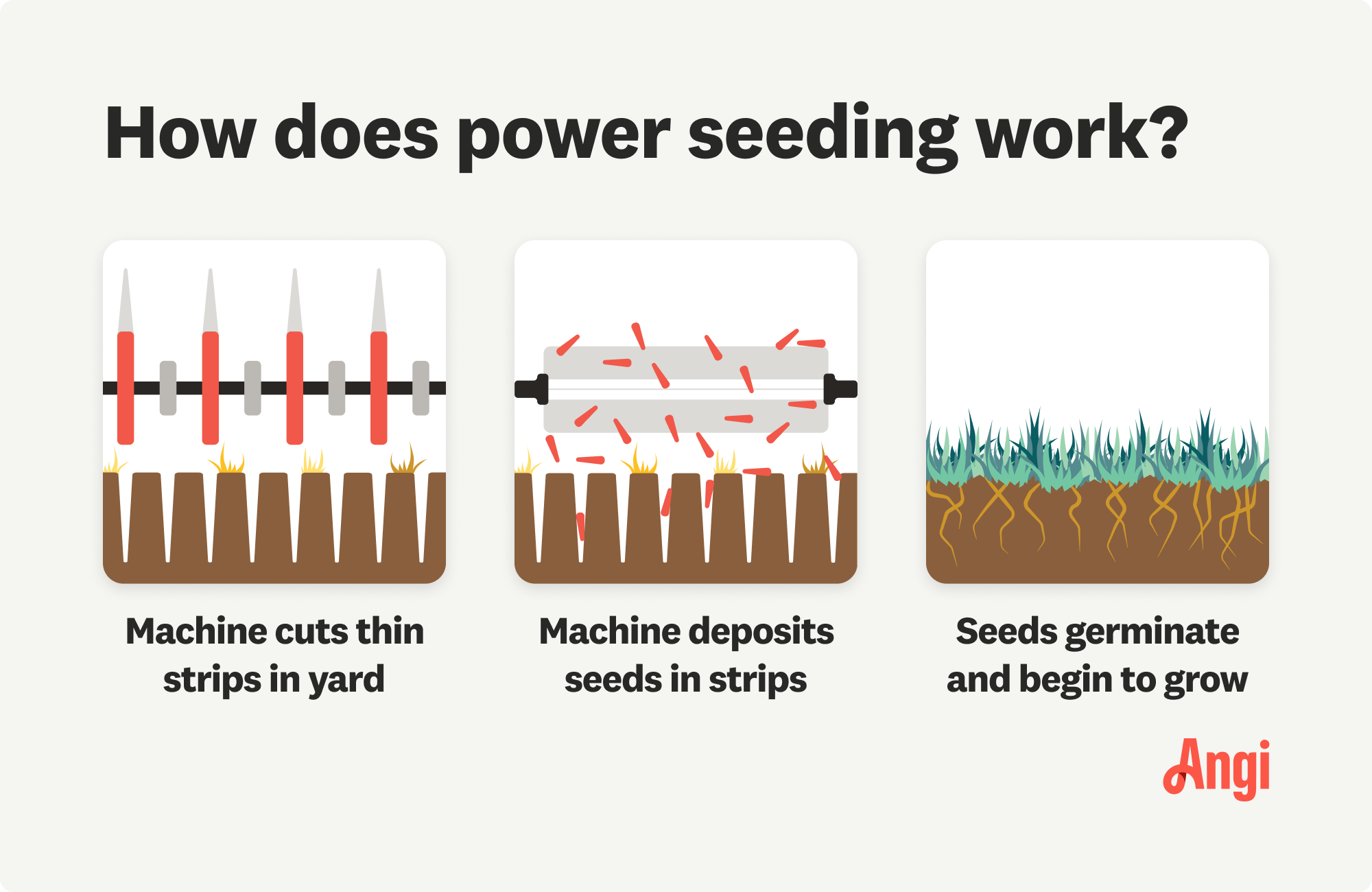 How power seeding works illustrated, with grass seeds being deposited in the soil where the machine cuts narrow strips