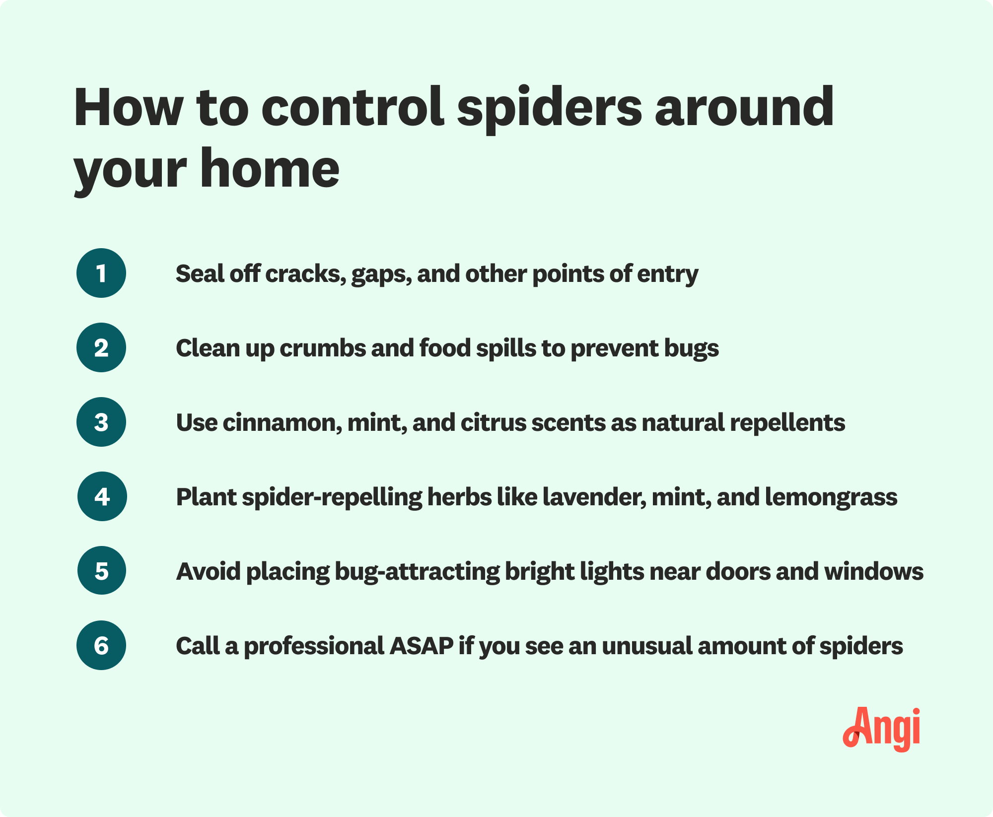 6 tips to control spiders around your home, including use cinnamon, mint and citrus scents as natural repellents