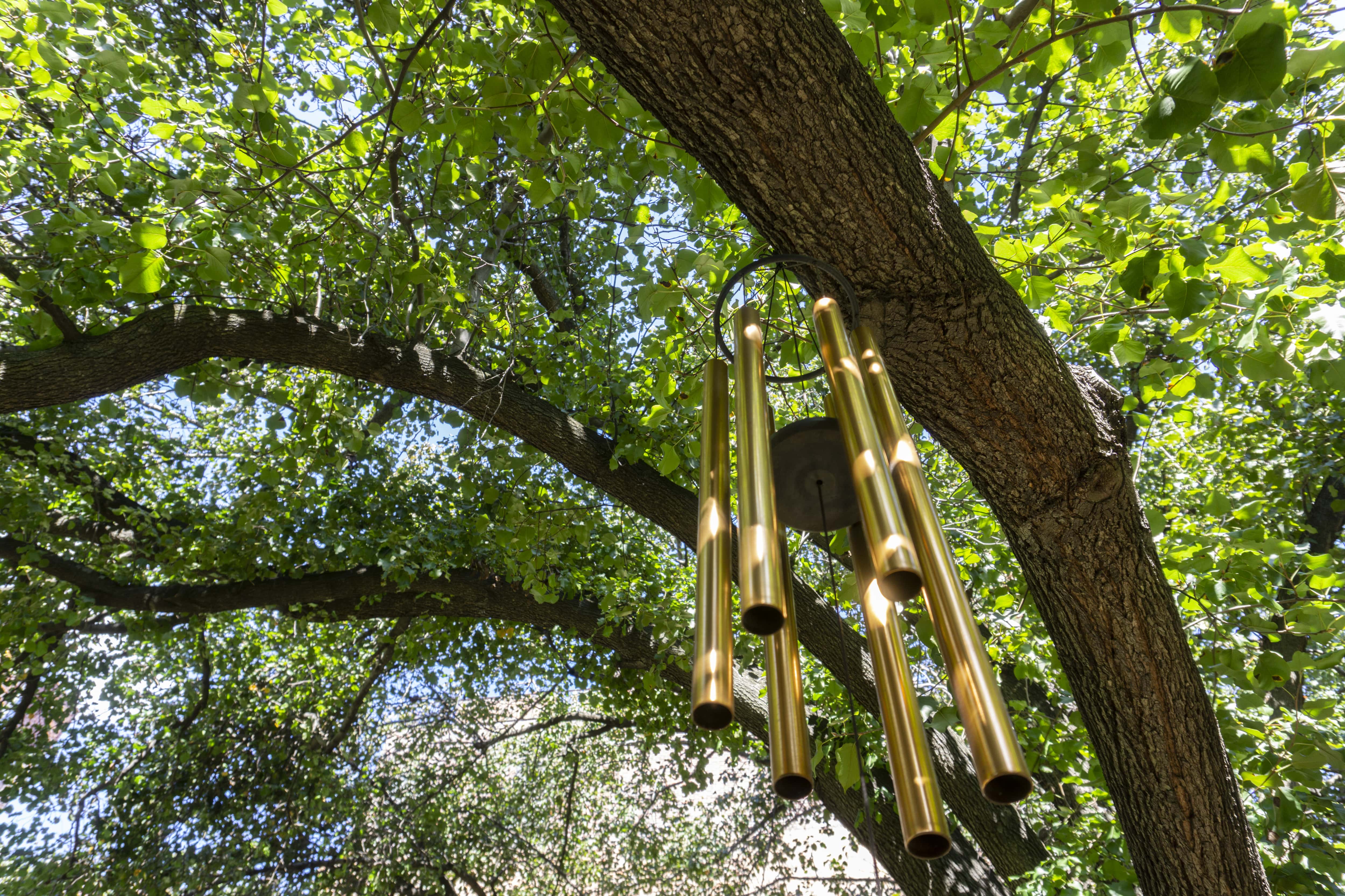 Gold metal windchimes hanging from a large oak tree