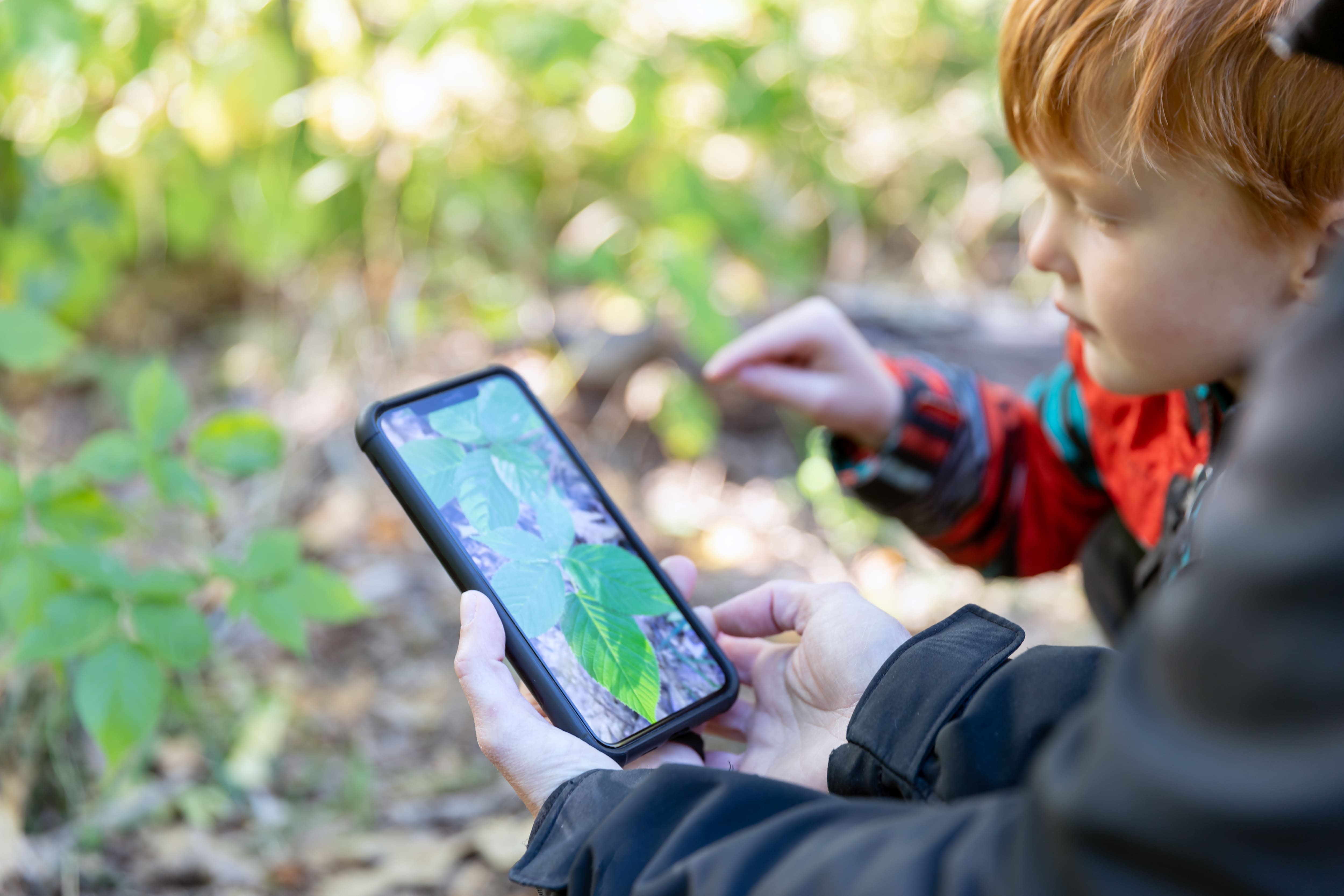 A young boy and his parent using an app to identify a plant