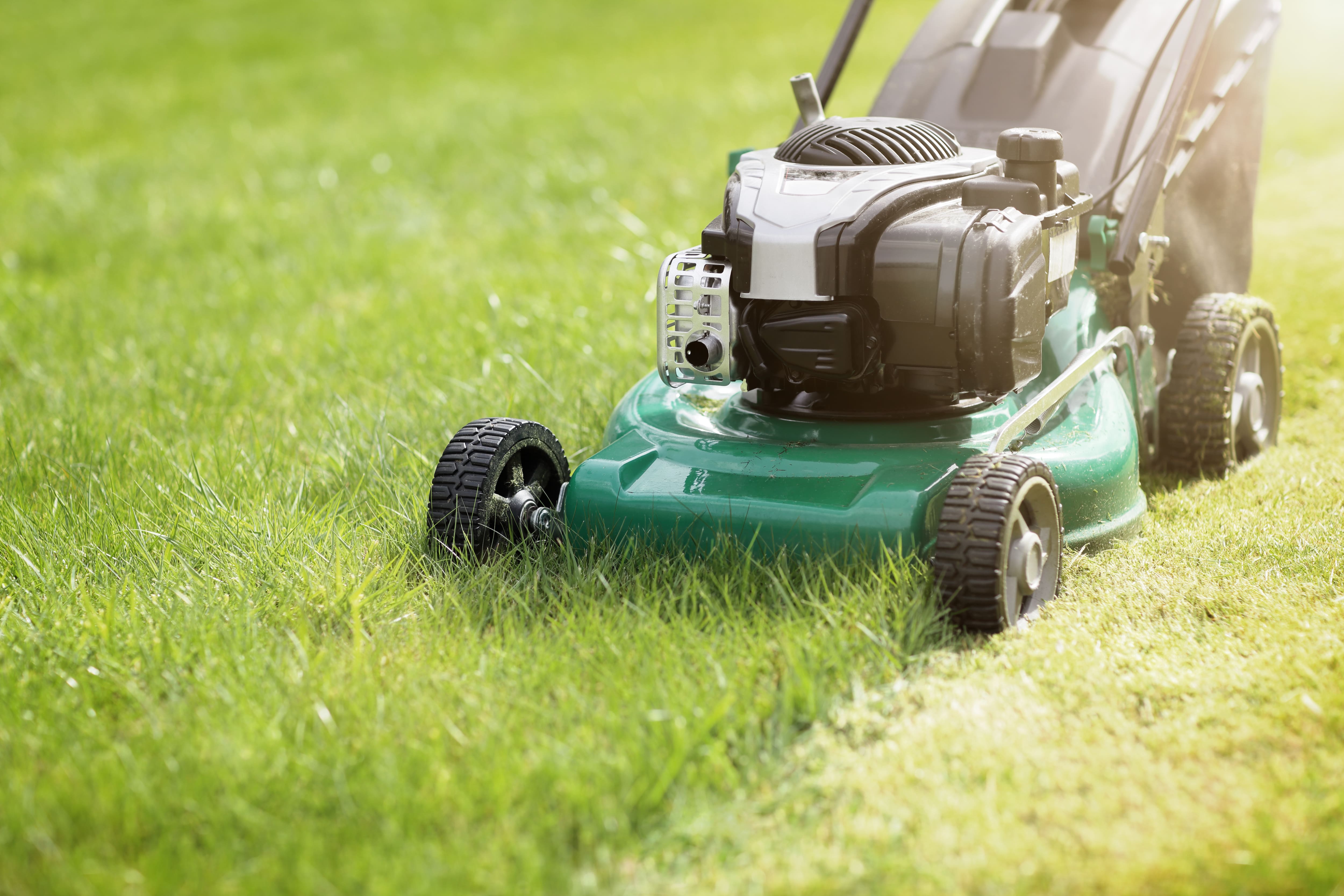 Mowing lawn mower with push mower
