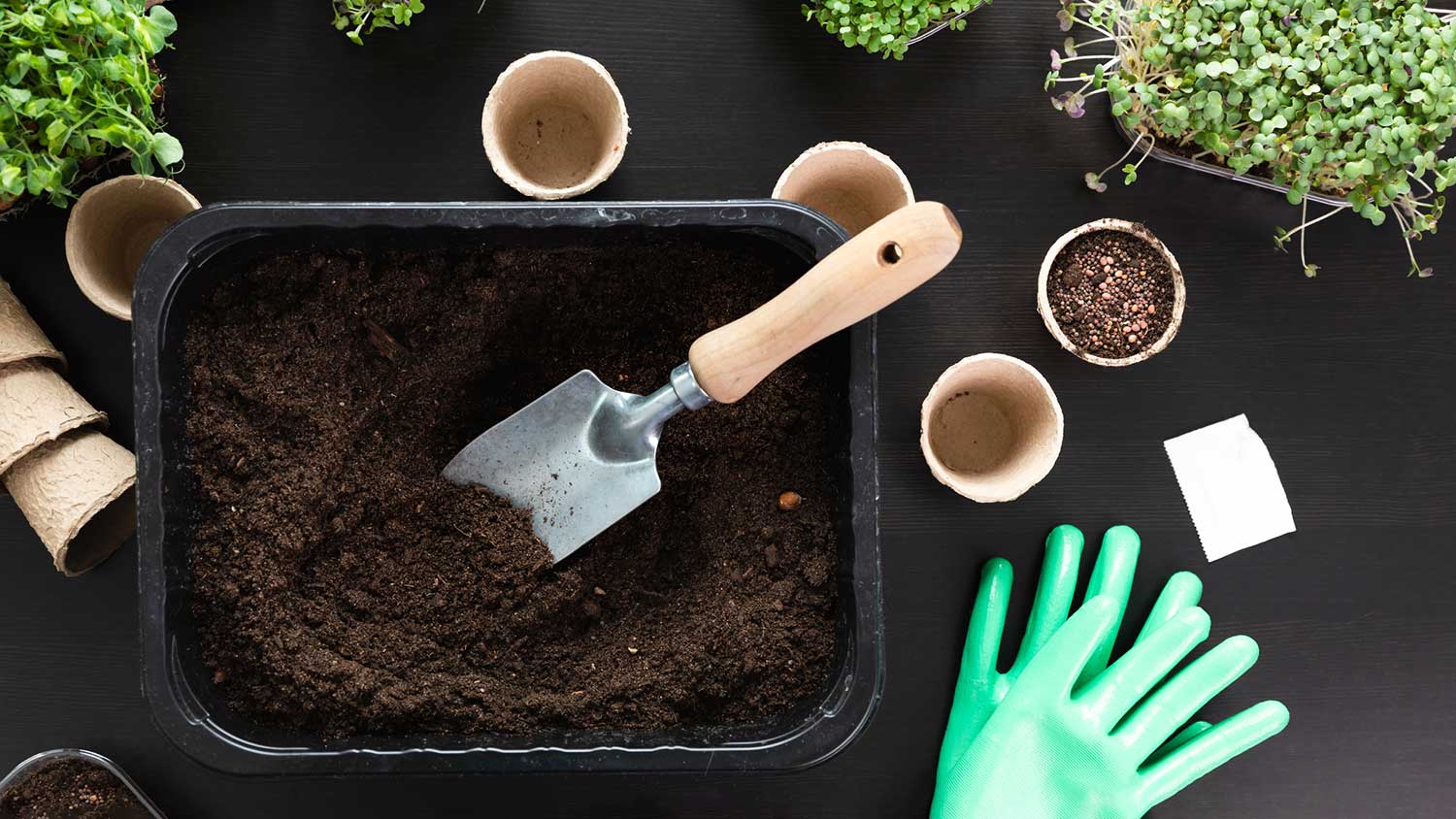 Indoor gardening supplies on a table