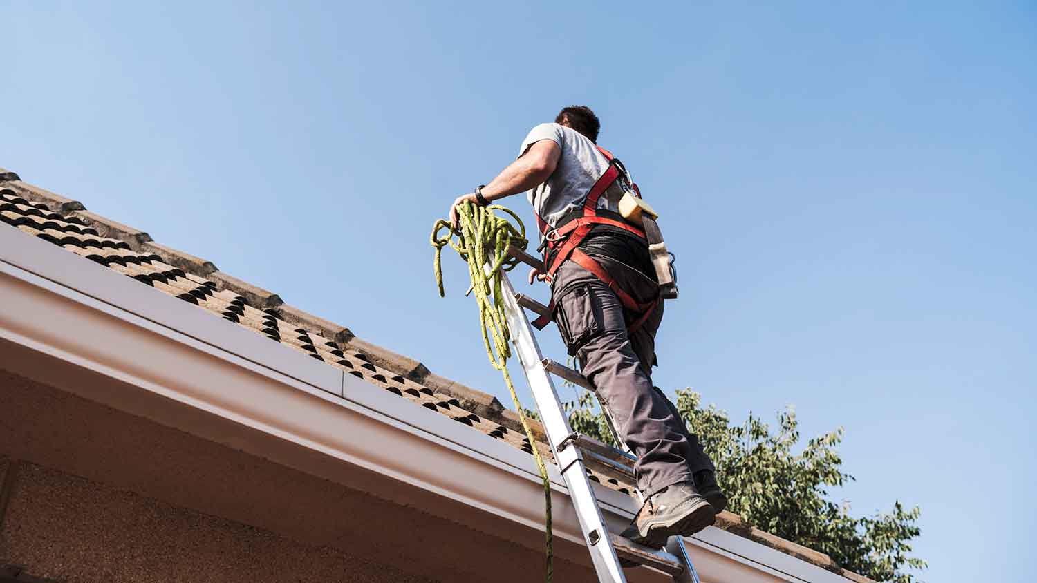 Roof inspector on a ladder wearing safety harness 