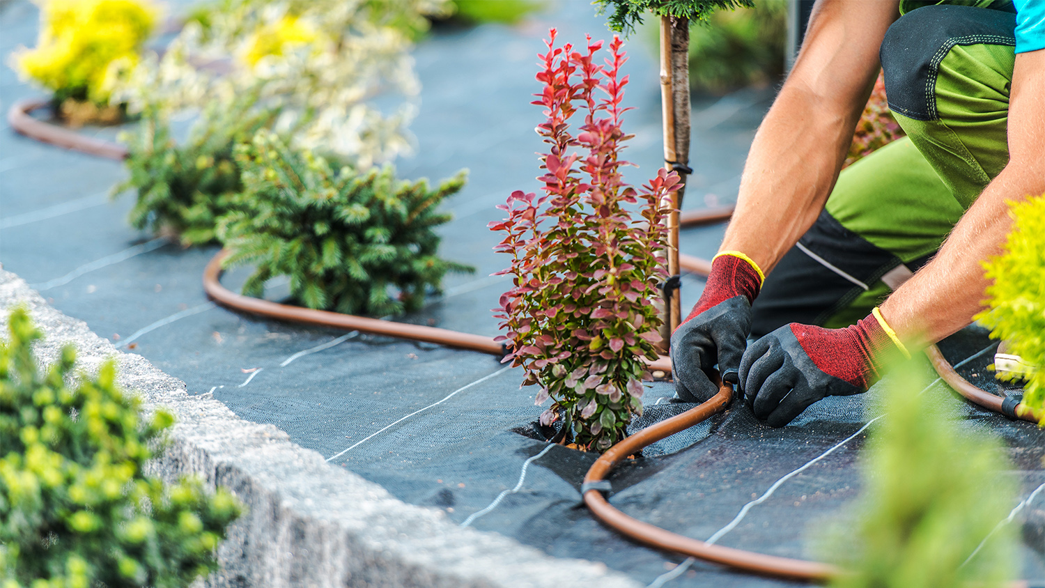 Technician installing Garden Irrigation System 